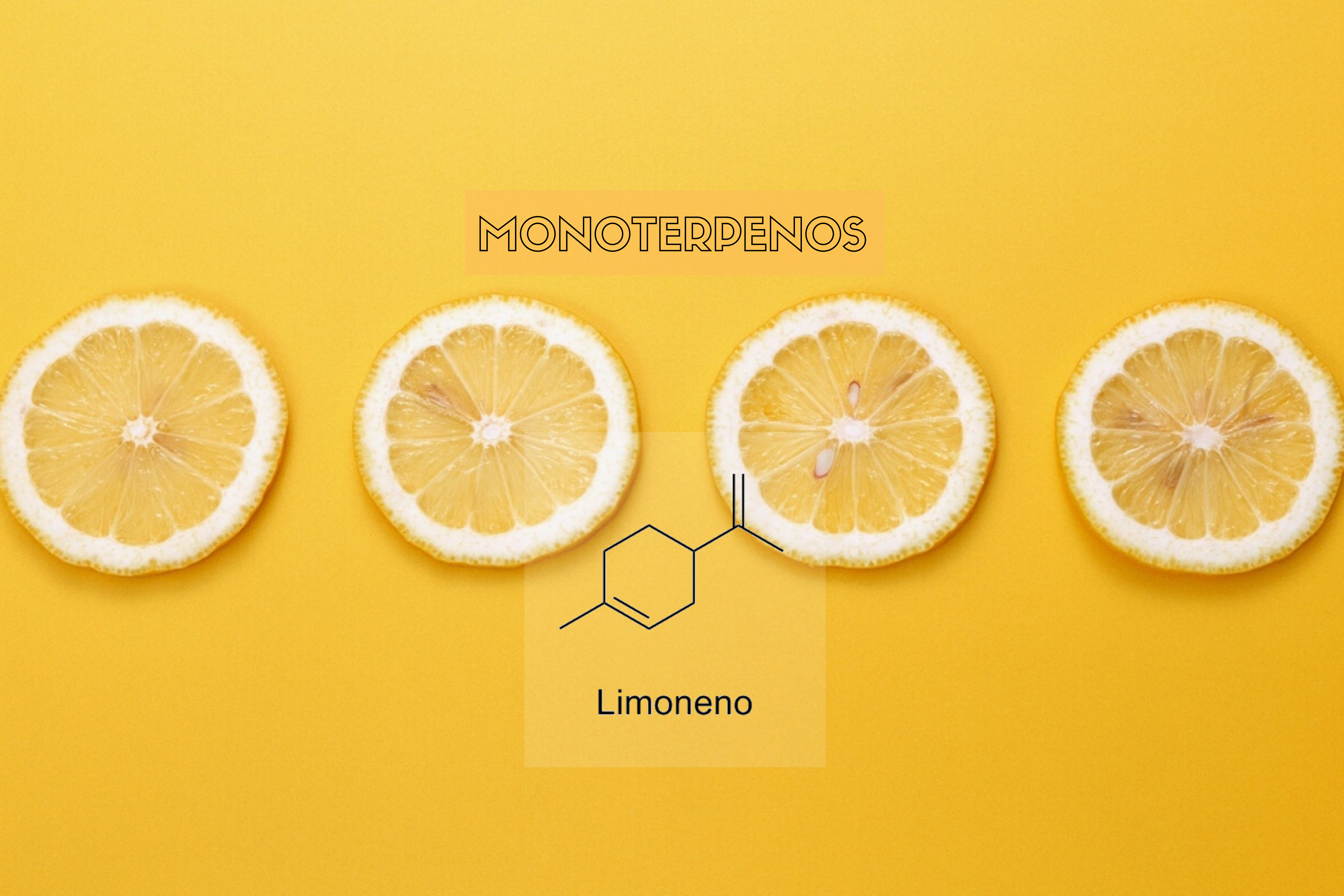 MONOTERPENOS